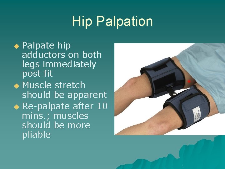 Hip Palpation Palpate hip adductors on both legs immediately post fit u Muscle stretch