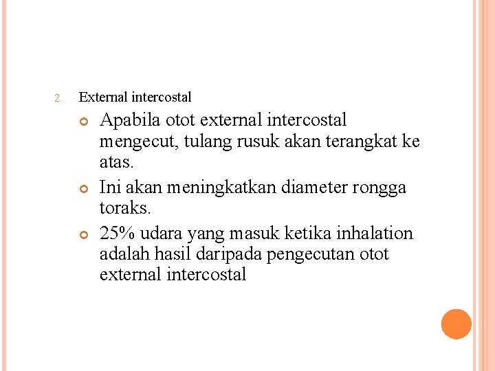 2. External intercostal Apabila otot external intercostal mengecut, tulang rusuk akan terangkat ke atas.