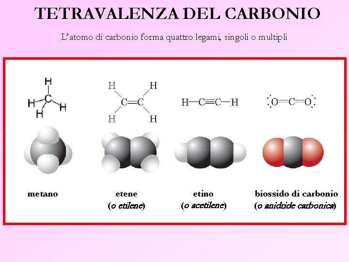TETRAVALENZA DEL CARBONIO L’atomo di carbonio forma quattro legami, singoli o multipli metano etene