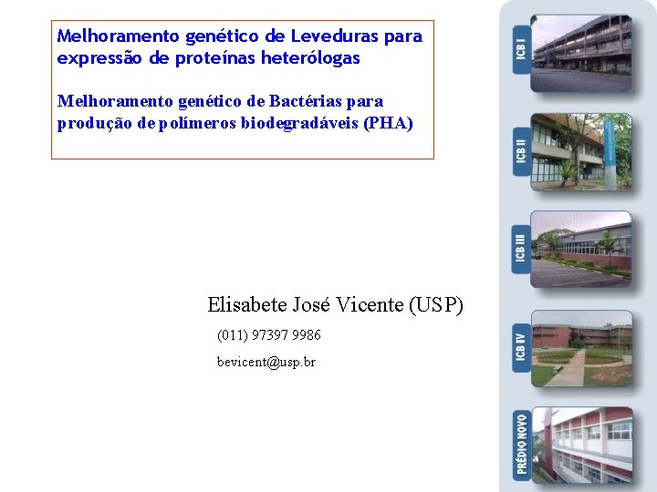 Melhoramento genético de Leveduras para expressão de proteínas heterólogas Melhoramento genético de Bactérias para Melhoramento genético de Leveduras para expressão de proteínas heterólogas Melhoramento genético de Bactérias para