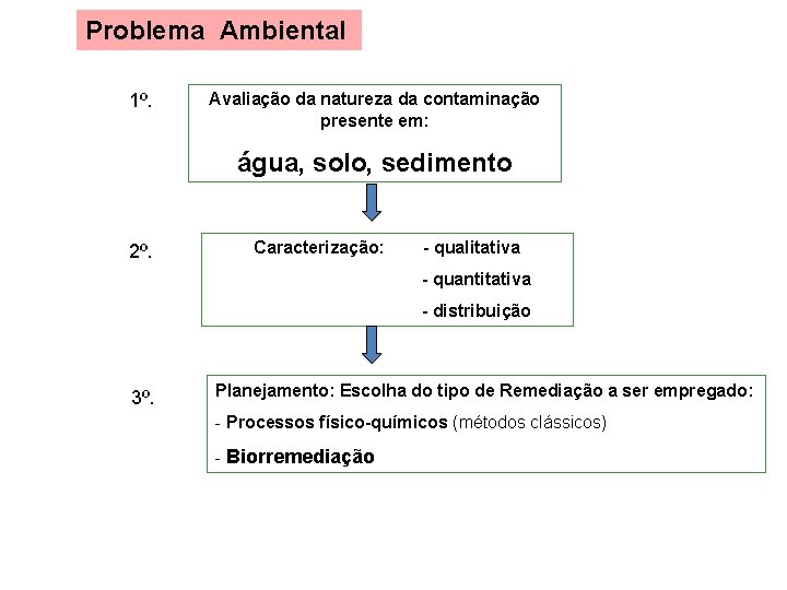Problema Ambiental 1º. Avaliação da natureza da contaminação presente em: água, solo, sedimento 2º. Problema Ambiental 1º. Avaliação da natureza da contaminação presente em: água, solo, sedimento 2º.
