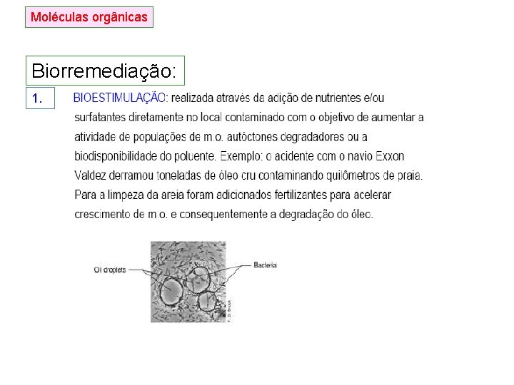 Moléculas orgânicas Biorremediação: 1. Moléculas orgânicas Biorremediação: 1.