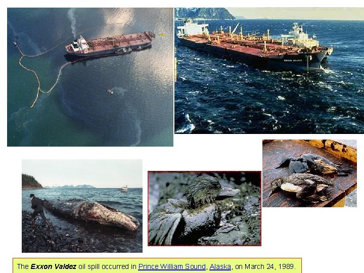 The Exxon Valdez oil spill occurred in Prince William Sound, Alaska, on March 24, The Exxon Valdez oil spill occurred in Prince William Sound, Alaska, on March 24,