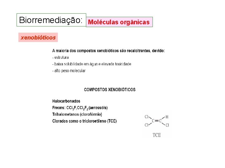 Biorremediação: xenobióticos Moléculas orgânicas Biorremediação: xenobióticos Moléculas orgânicas