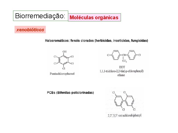 Biorremediação: xenobióticos Moléculas orgânicas Biorremediação: xenobióticos Moléculas orgânicas