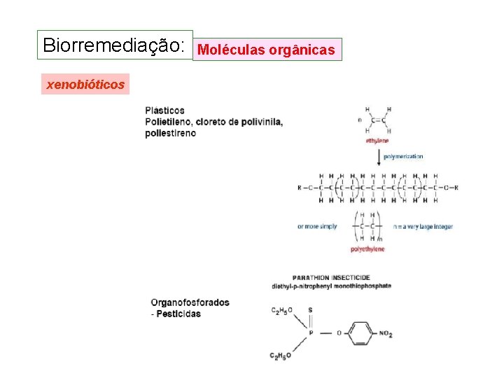 Biorremediação: xenobióticos Moléculas orgânicas Biorremediação: xenobióticos Moléculas orgânicas