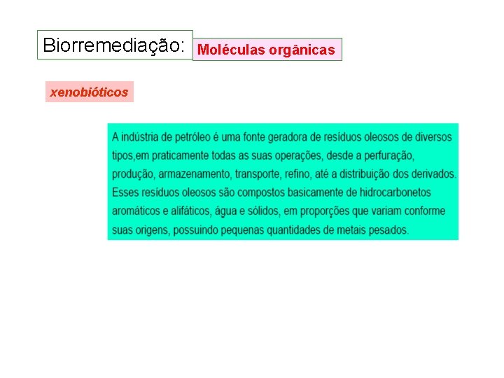 Biorremediação: xenobióticos Moléculas orgânicas Biorremediação: xenobióticos Moléculas orgânicas
