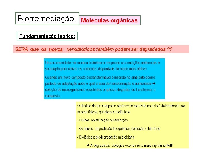 Biorremediação: Moléculas orgânicas Fundamentação teórica: SERÁ que os novos xenobióticos também podem ser degradados Biorremediação: Moléculas orgânicas Fundamentação teórica: SERÁ que os novos xenobióticos também podem ser degradados