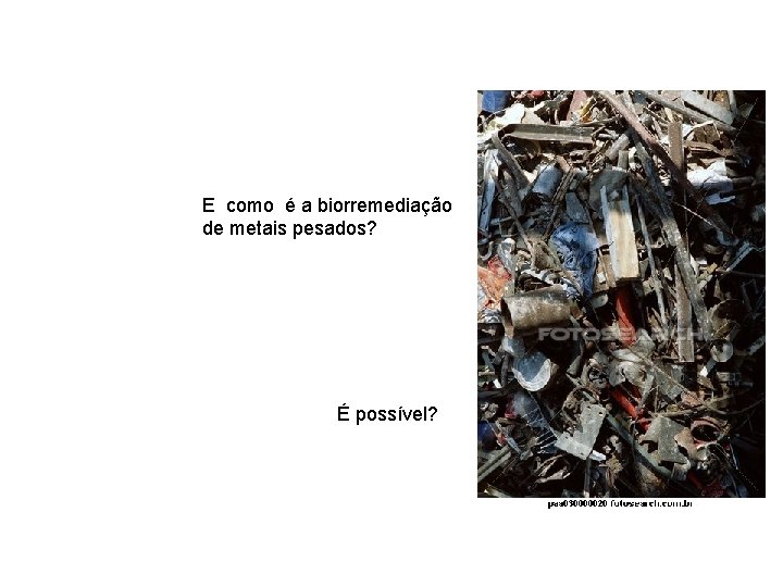 E como é a biorremediação de metais pesados? É possível? E como é a biorremediação de metais pesados? É possível?