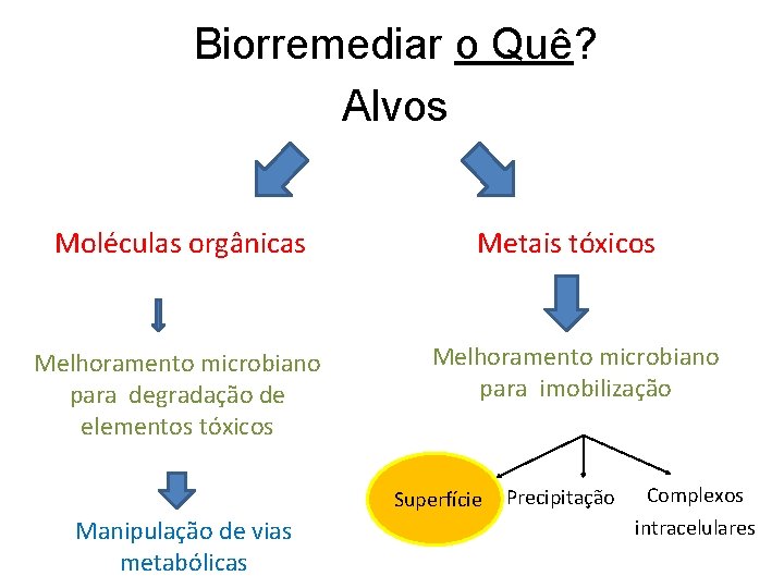 Biorremediar o Quê? Alvos Moléculas orgânicas Melhoramento microbiano para degradação de elementos tóxicos Metais Biorremediar o Quê? Alvos Moléculas orgânicas Melhoramento microbiano para degradação de elementos tóxicos Metais
