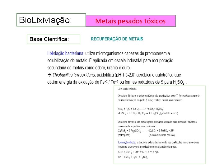 Bio. Lixiviação: Base Científica: Metais pesados tóxicos Bio. Lixiviação: Base Científica: Metais pesados tóxicos