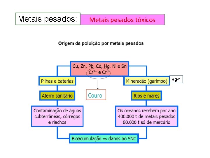 Metais pesados: Metais pesados tóxicos Hg 2+ Metais pesados: Metais pesados tóxicos Hg 2+