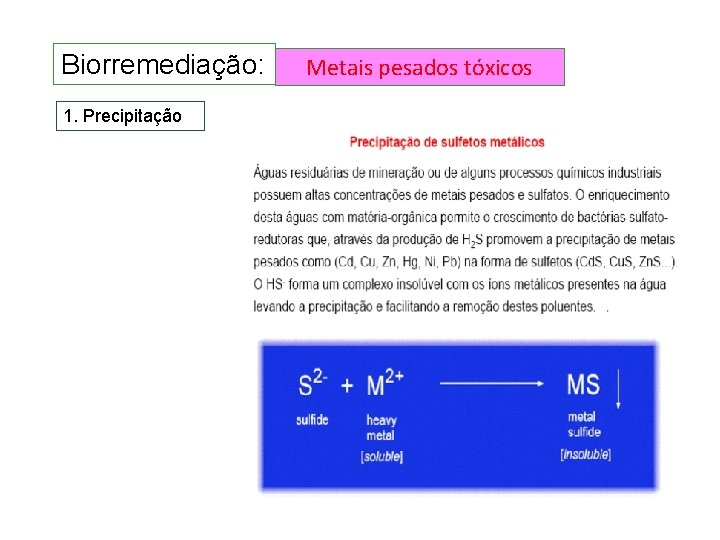 Biorremediação: 1. Precipitação Metais pesados tóxicos Biorremediação: 1. Precipitação Metais pesados tóxicos