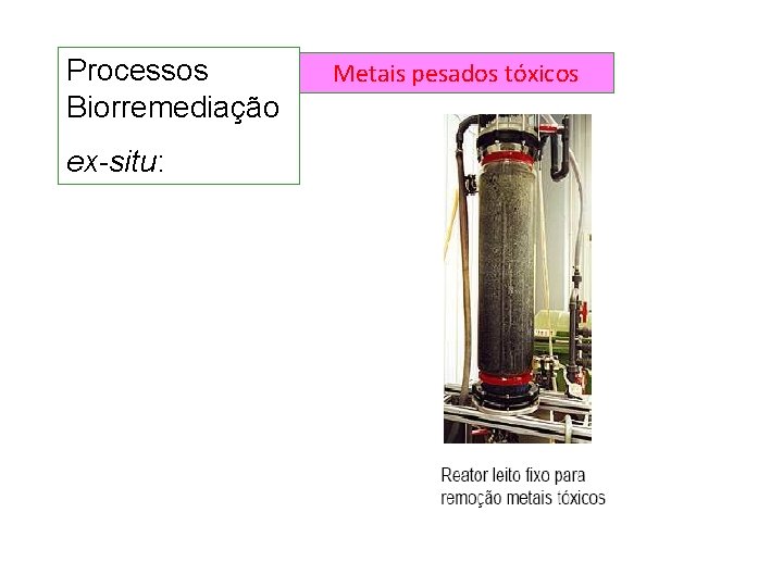 Processos Biorremediação ex-situ: Metais pesados tóxicos Processos Biorremediação ex-situ: Metais pesados tóxicos