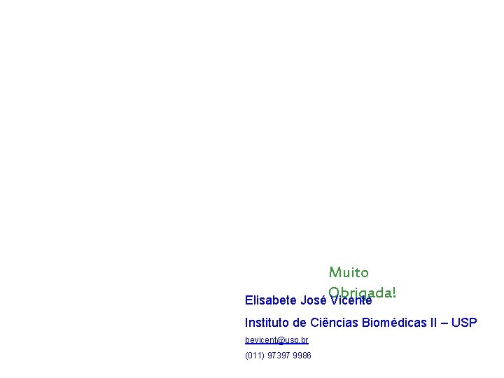Muito Obrigada! Elisabete José Vicente Instituto de Ciências Biomédicas II – USP bevicent@usp. br Muito Obrigada! Elisabete José Vicente Instituto de Ciências Biomédicas II – USP bevicent@usp. br