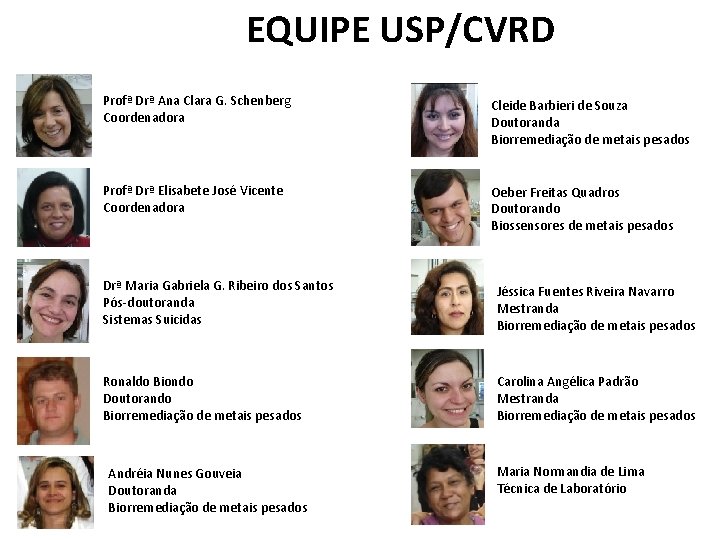 EQUIPE USP/CVRD Profª Drª Ana Clara G. Schenberg Coordenadora Cleide Barbieri de Souza Doutoranda EQUIPE USP/CVRD Profª Drª Ana Clara G. Schenberg Coordenadora Cleide Barbieri de Souza Doutoranda