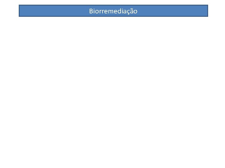 Biorremediação Biorremediação