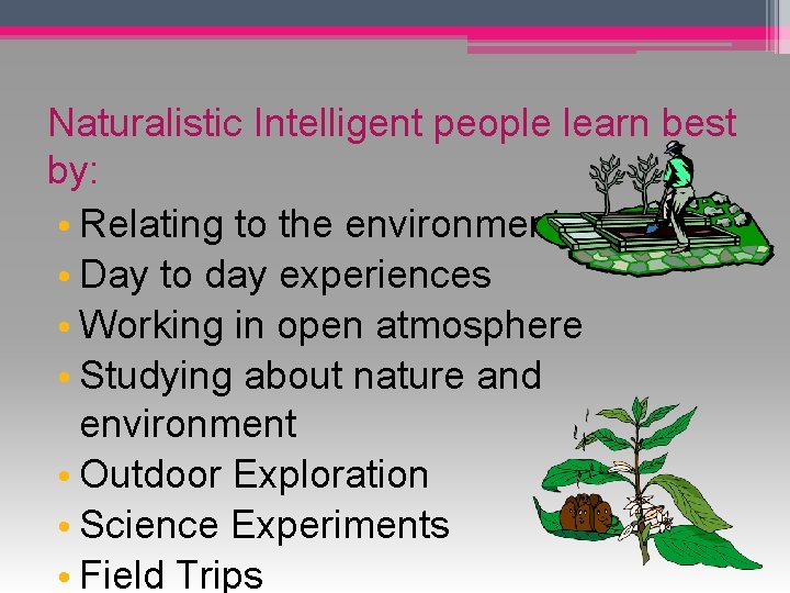 Naturalistic Intelligent people learn best by: • Relating to the environment • Day to