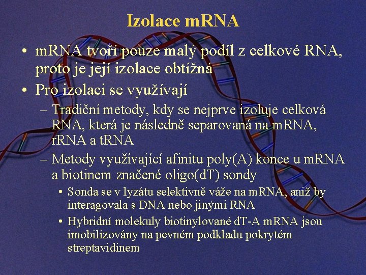 Izolace m. RNA • m. RNA tvoří pouze malý podíl z celkové RNA, proto