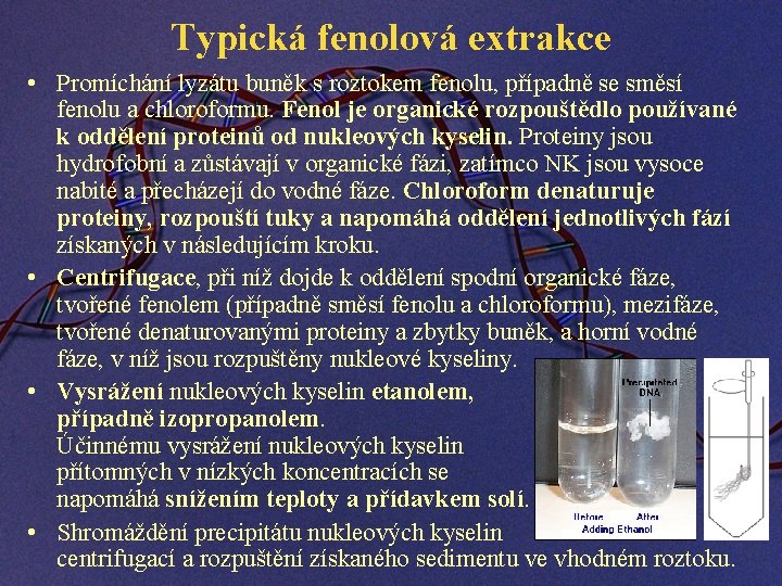 Typická fenolová extrakce • Promíchání lyzátu buněk s roztokem fenolu, případně se směsí fenolu