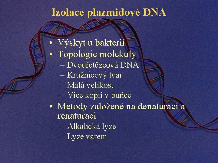 Izolace plazmidové DNA • Výskyt u bakterií • Topologie molekuly – Dvouřetězcová DNA –
