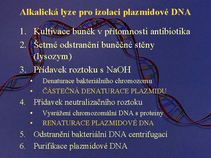 Alkalická lyze pro izolaci plazmidové DNA 1. Kultivace buněk v přítomnosti antibiotika 2. Šetrné