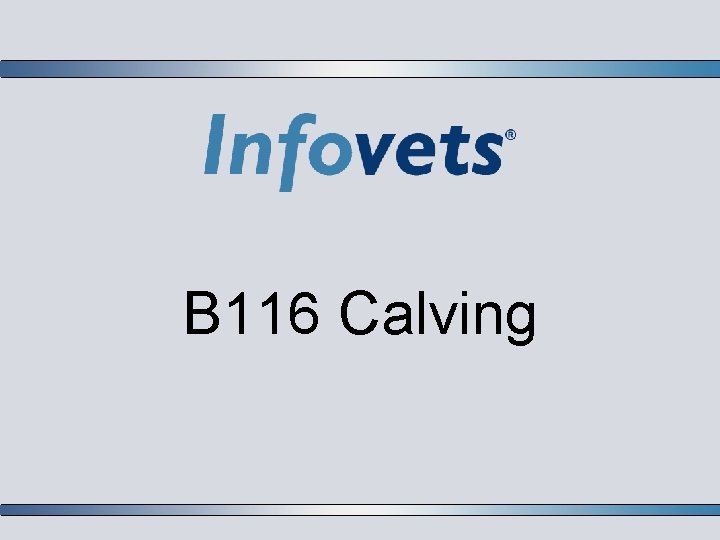 B 116 Calving 