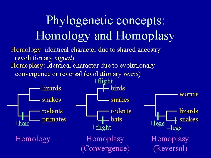 Phylogenetic concepts: Homology and Homoplasy Homology: identical character due to shared ancestry (evolutionary signal)