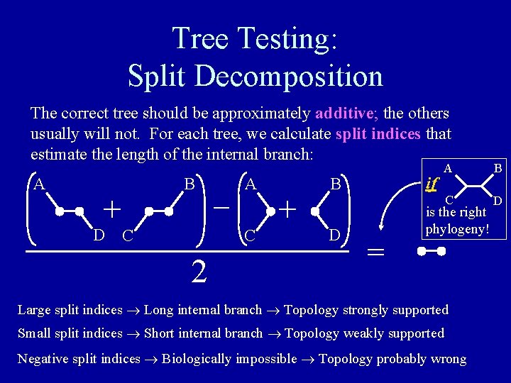 Tree Testing: Split Decomposition The correct tree should be approximately additive; the others usually