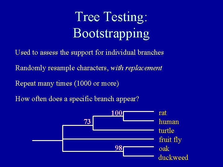 Tree Testing: Bootstrapping Used to assess the support for individual branches Randomly resample characters,