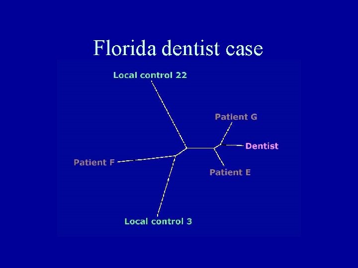 Florida dentist case 