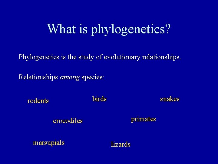 What is phylogenetics? Phylogenetics is the study of evolutionary relationships. Relationships among species: birds