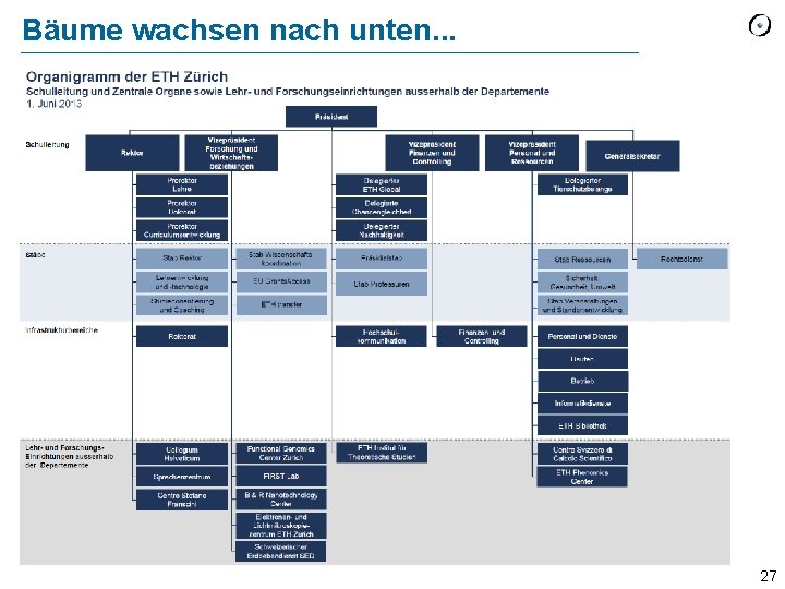 Bäume wachsen nach unten. . . 27 