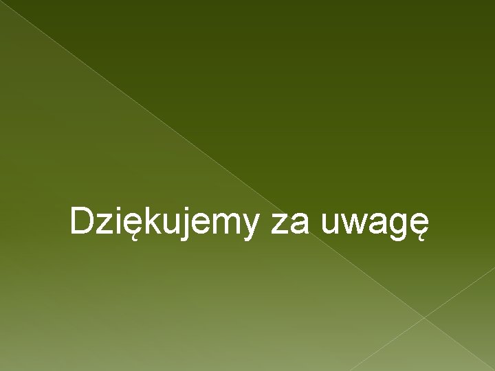 Dziękujemy za uwagę 