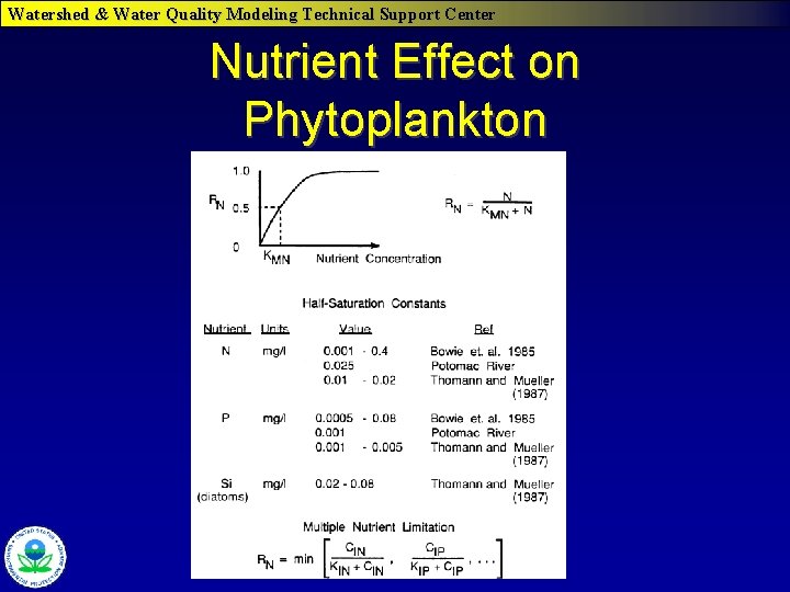Watershed & Water Quality Modeling Technical Support Center Nutrient Effect on Phytoplankton 