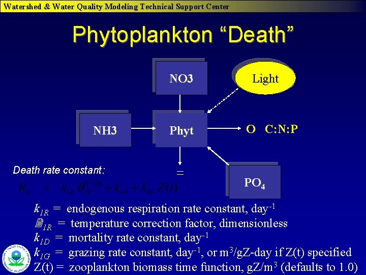 Watershed & Water Quality Modeling Technical Support Center Phytoplankton “Death” NO 3 NH 3