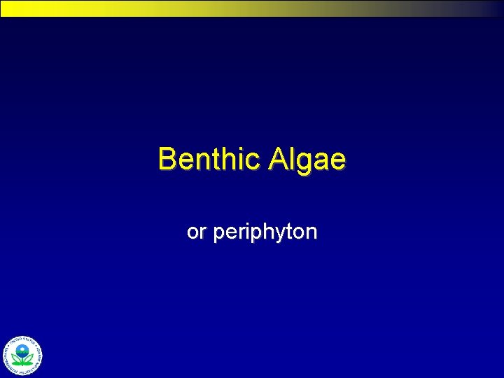 Benthic Algae or periphyton 