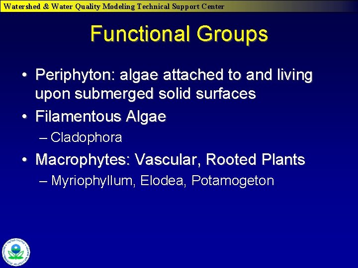 Watershed & Water Quality Modeling Technical Support Center Functional Groups • Periphyton: algae attached