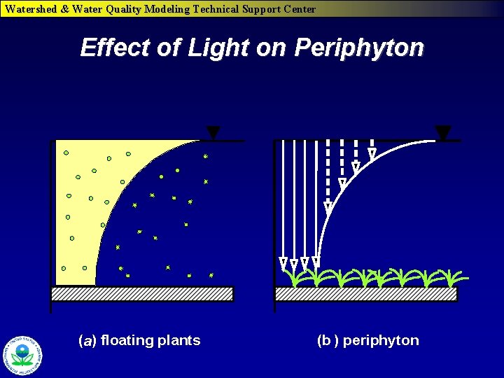 Watershed & Water Quality Modeling Technical Support Center Effect of Light on Periphyton (a)
