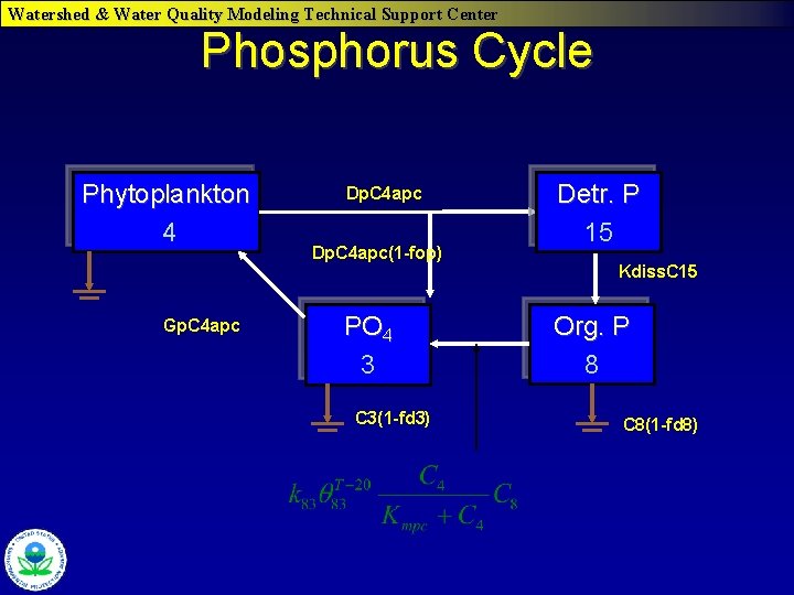 Watershed & Water Quality Modeling Technical Support Center Phosphorus Cycle Phytoplankton 4 Gp. C