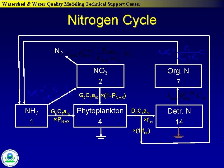 Watershed & Water Quality Modeling Technical Support Center Nitrogen Cycle N 2 NO 3