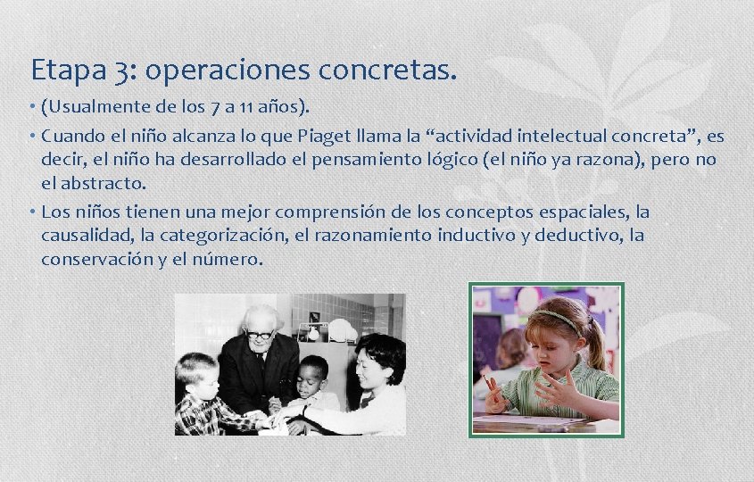 Etapa 3: operaciones concretas. • (Usualmente de los 7 a 11 años). • Cuando