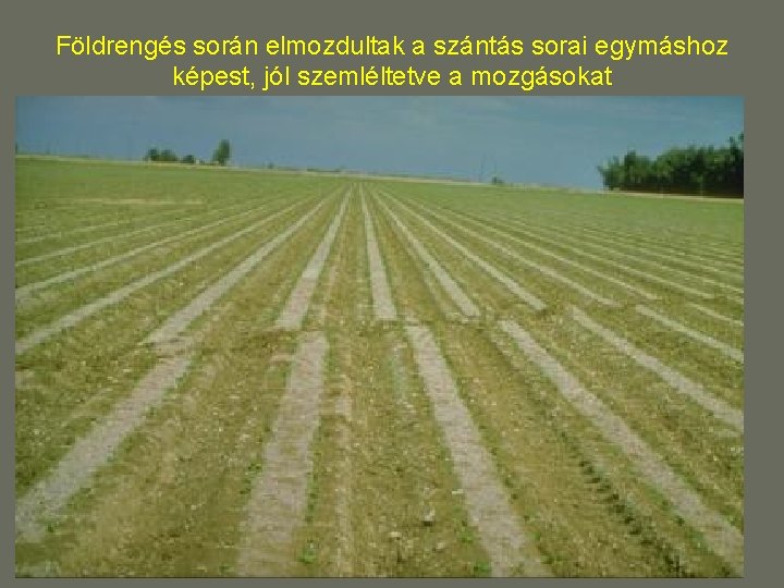 Földrengés során elmozdultak a szántás sorai egymáshoz képest, jól szemléltetve a mozgásokat Földrengés során elmozdultak a szántás sorai egymáshoz képest, jól szemléltetve a mozgásokat