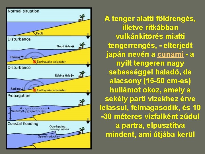A tenger alatti földrengés, illetve ritkábban vulkánkitörés miatti tengerrengés, - elterjedt japán nevén a A tenger alatti földrengés, illetve ritkábban vulkánkitörés miatti tengerrengés, - elterjedt japán nevén a