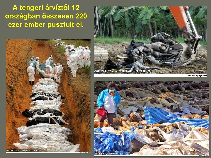 A tengeri árvíztől 12 országban összesen 220 ezer ember pusztult el. A tengeri árvíztől 12 országban összesen 220 ezer ember pusztult el.
