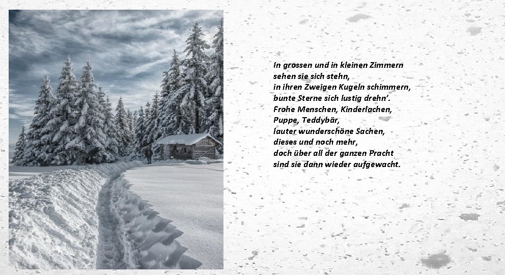 In grossen und in kleinen Zimmern sehen sie sich stehn, in ihren Zweigen Kugeln