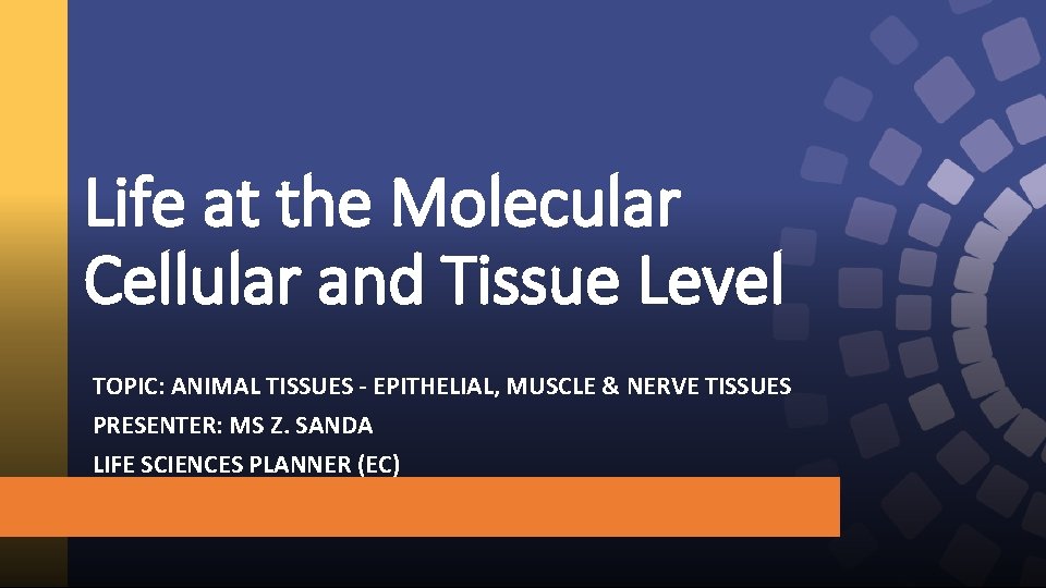 Life at the Molecular Cellular and Tissue Level TOPIC: ANIMAL TISSUES - EPITHELIAL, MUSCLE Life at the Molecular Cellular and Tissue Level TOPIC: ANIMAL TISSUES - EPITHELIAL, MUSCLE