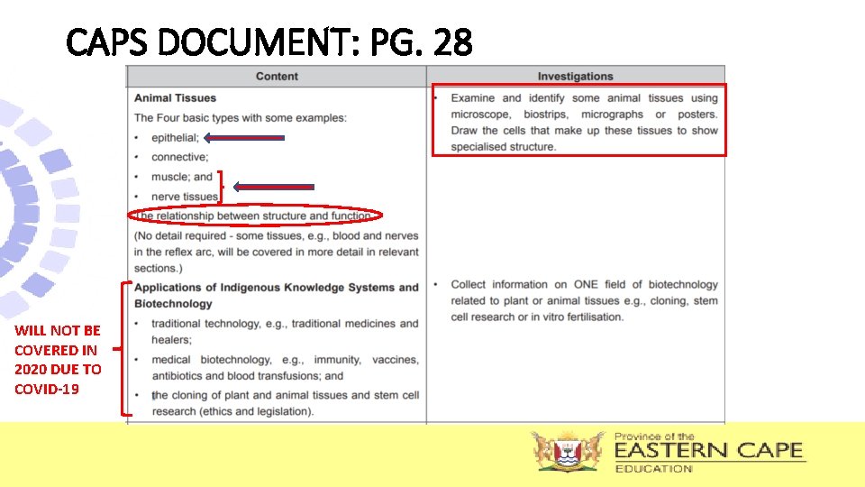 CAPS DOCUMENT: PG. 28 WILL NOT BE COVERED IN 2020 DUE TO COVID-19 