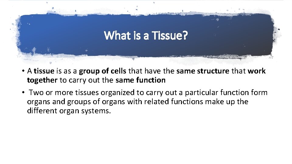 What is a Tissue? • A tissue is as a group of cells that