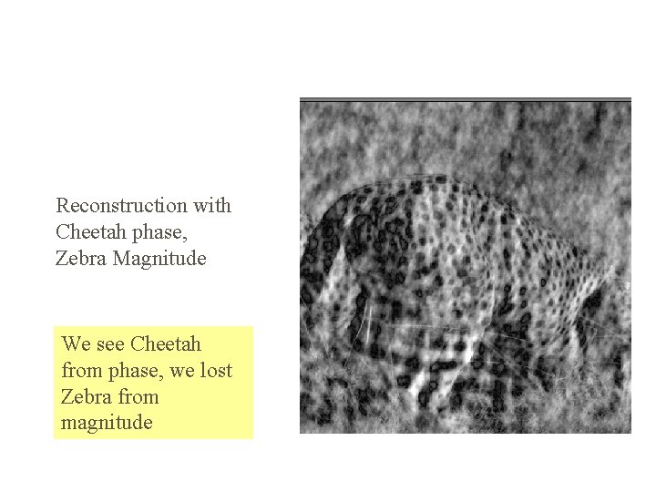 Reconstruction with Cheetah phase, Zebra Magnitude We see Cheetah from phase, we lost Zebra